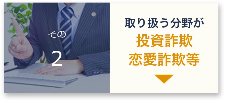 得意とする分野が詐欺事案海外事案
